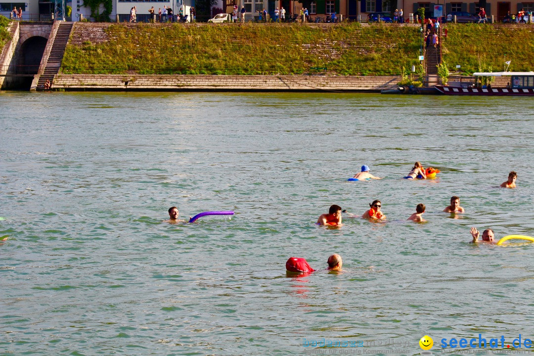 Rheinschwimmen: Basel, 15.08.2017