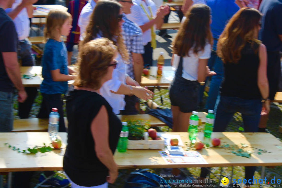 Donntigsjass-Buerglen-2017-08-17-Bodensee-Community-SEECHAT_DE-_148_