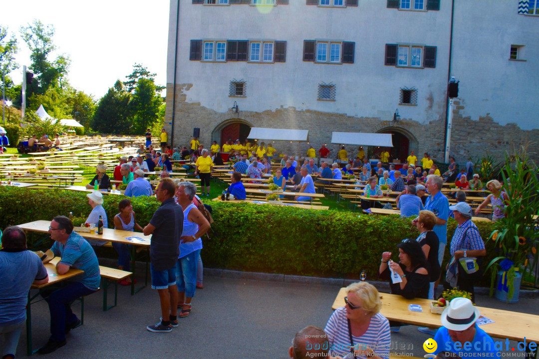 Donntigsjass-Buerglen-2017-08-17-Bodensee-Community-SEECHAT_DE-_153_