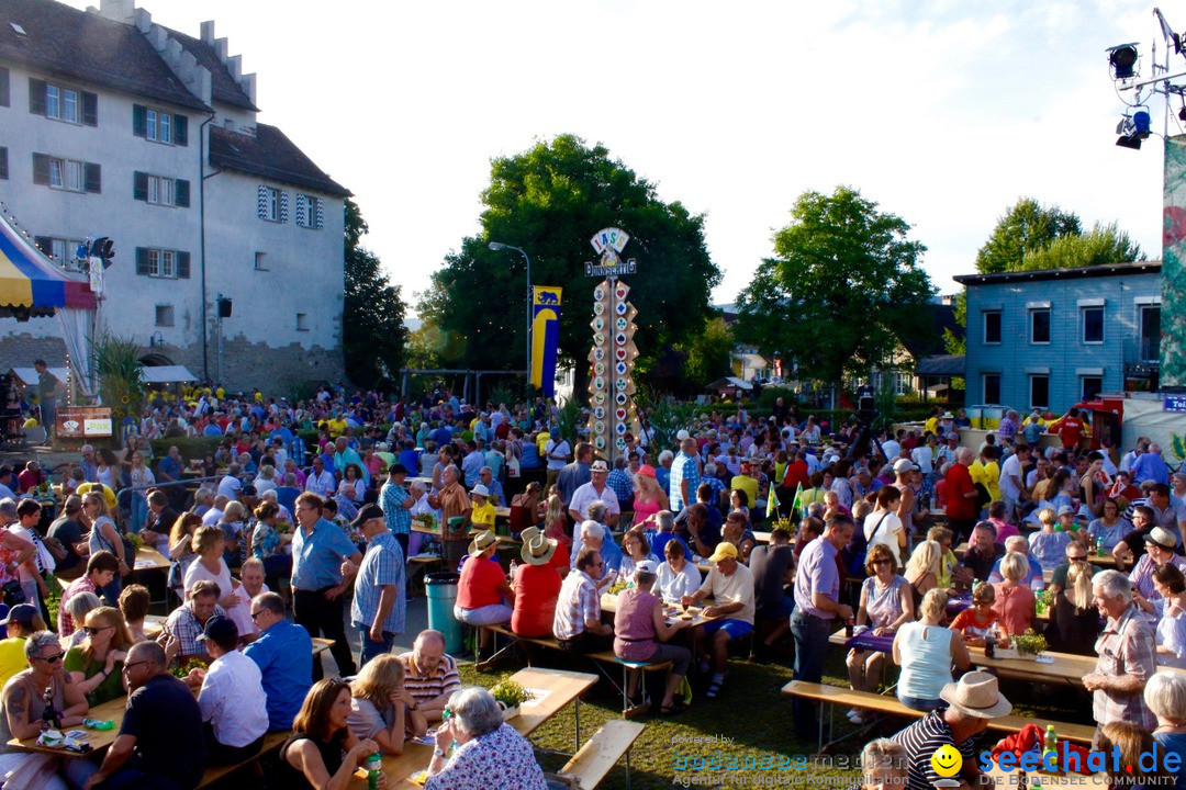 Donntigsjass-Buerglen-2017-08-17-Bodensee-Community-SEECHAT_DE-_17_