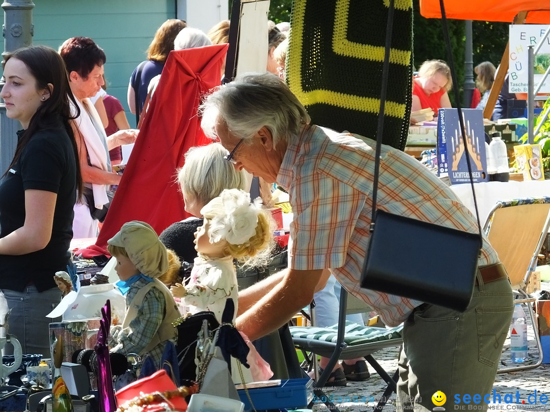 39. Schloss- und Kinderfest: Aulendorf, 20.08.2017