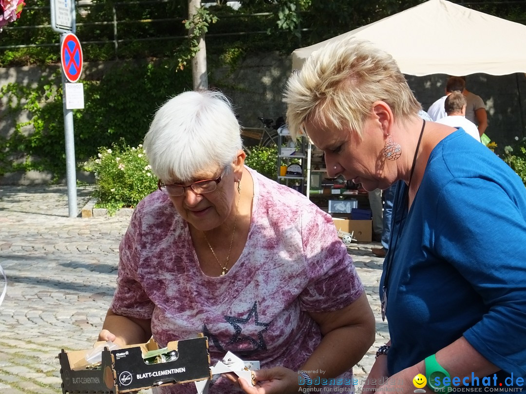 39. Schloss- und Kinderfest: Aulendorf, 20.08.2017