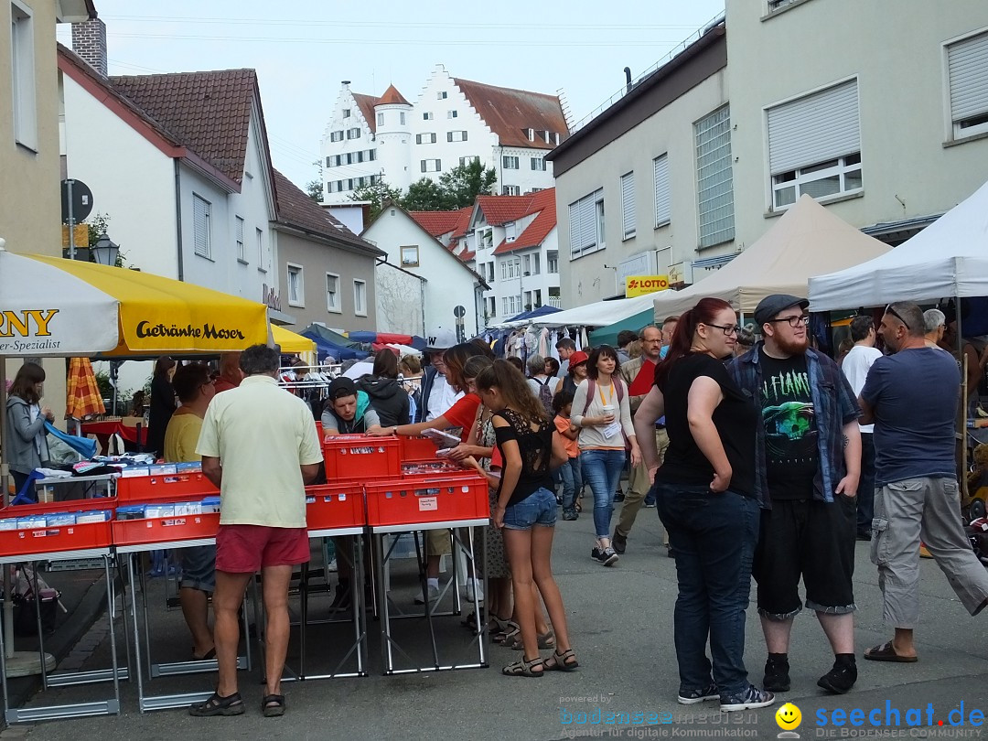 39. Schloss- und Kinderfest: Aulendorf, 20.08.2017