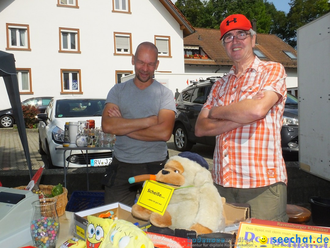 39. Schloss- und Kinderfest: Aulendorf, 20.08.2017