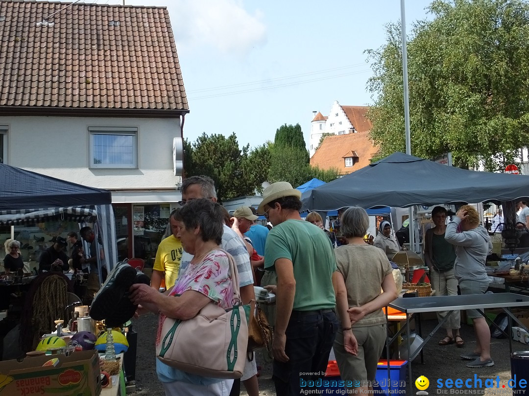 39. Schloss- und Kinderfest: Aulendorf, 20.08.2017