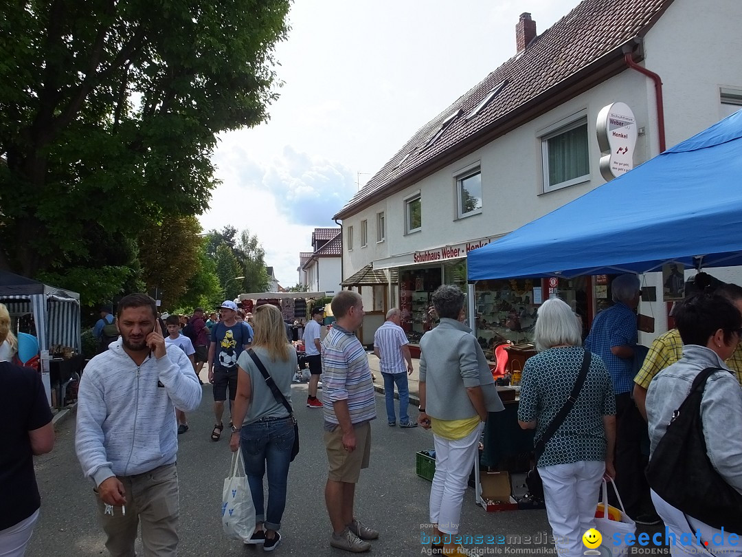 39. Schloss- und Kinderfest: Aulendorf, 20.08.2017