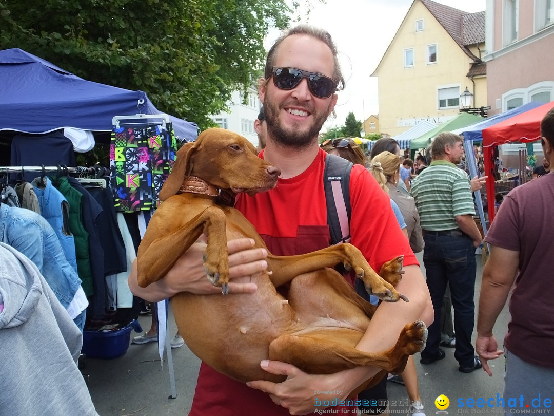 39. Schloss- und Kinderfest: Aulendorf, 20.08.2017