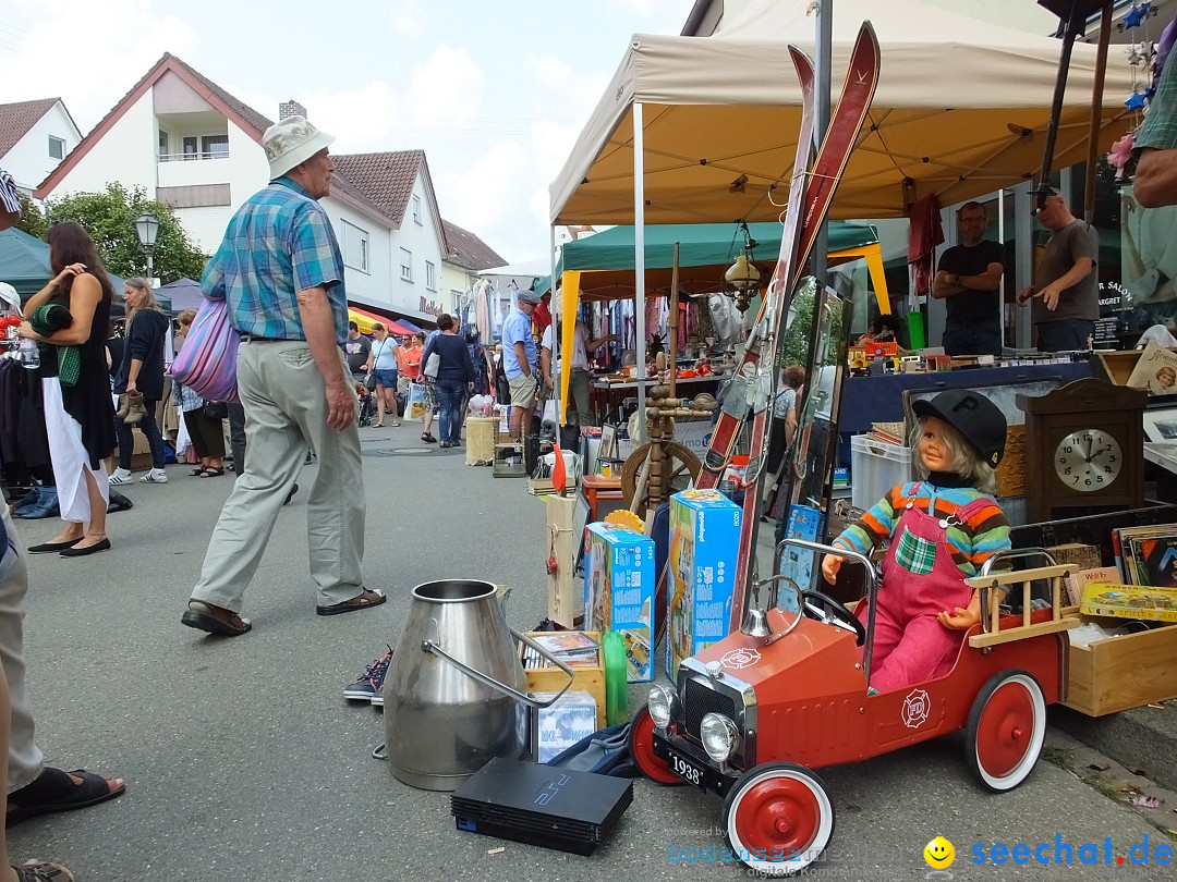 39. Schloss- und Kinderfest: Aulendorf, 20.08.2017