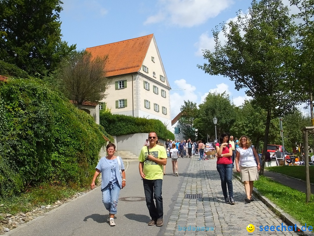 39. Schloss- und Kinderfest: Aulendorf, 20.08.2017