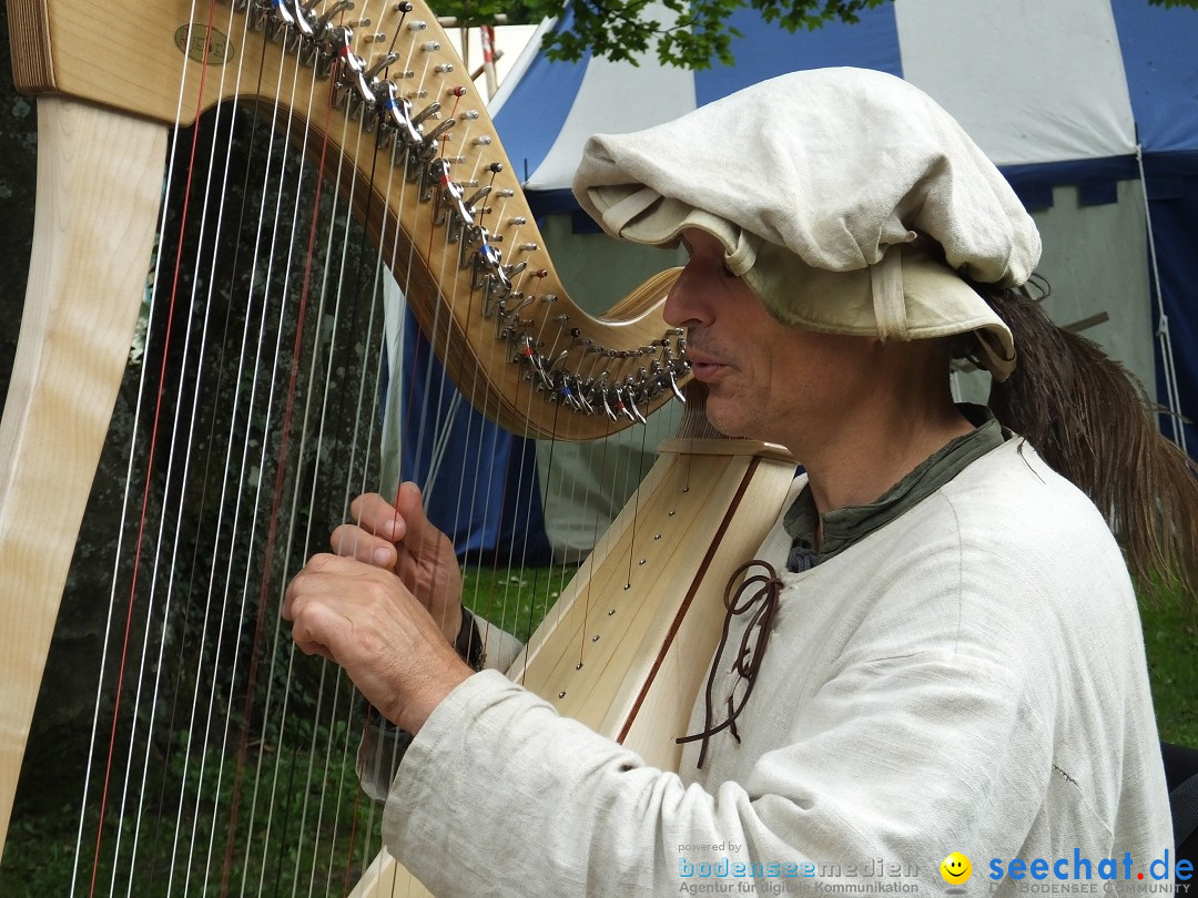 39. Schloss- und Kinderfest: Aulendorf, 20.08.2017