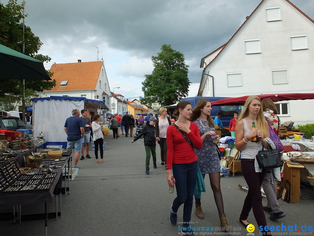 39. Schloss- und Kinderfest: Aulendorf, 20.08.2017