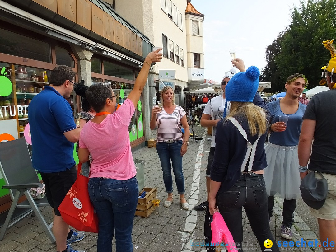 39. Schloss- und Kinderfest: Aulendorf, 20.08.2017