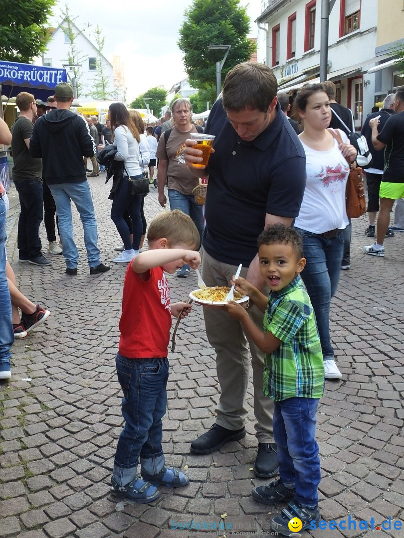 39. Schloss- und Kinderfest: Aulendorf, 20.08.2017