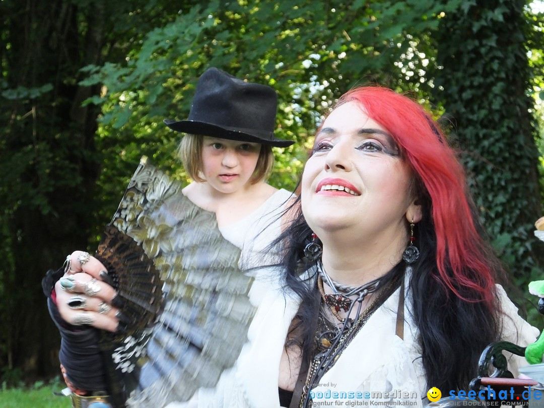 Steam-Punk Picknick: Sigmaringen, 26.08.2017