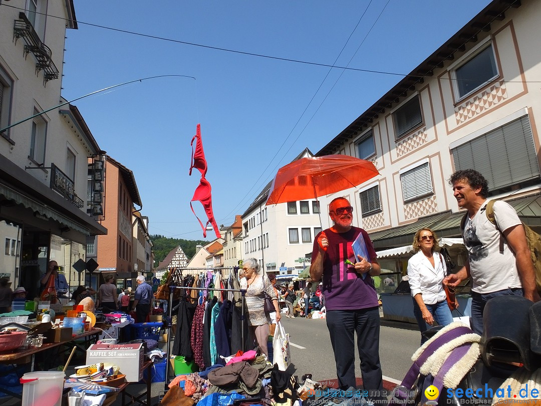 Flohmarkt in Sigmaringen am Bodensee, 26.08.2017