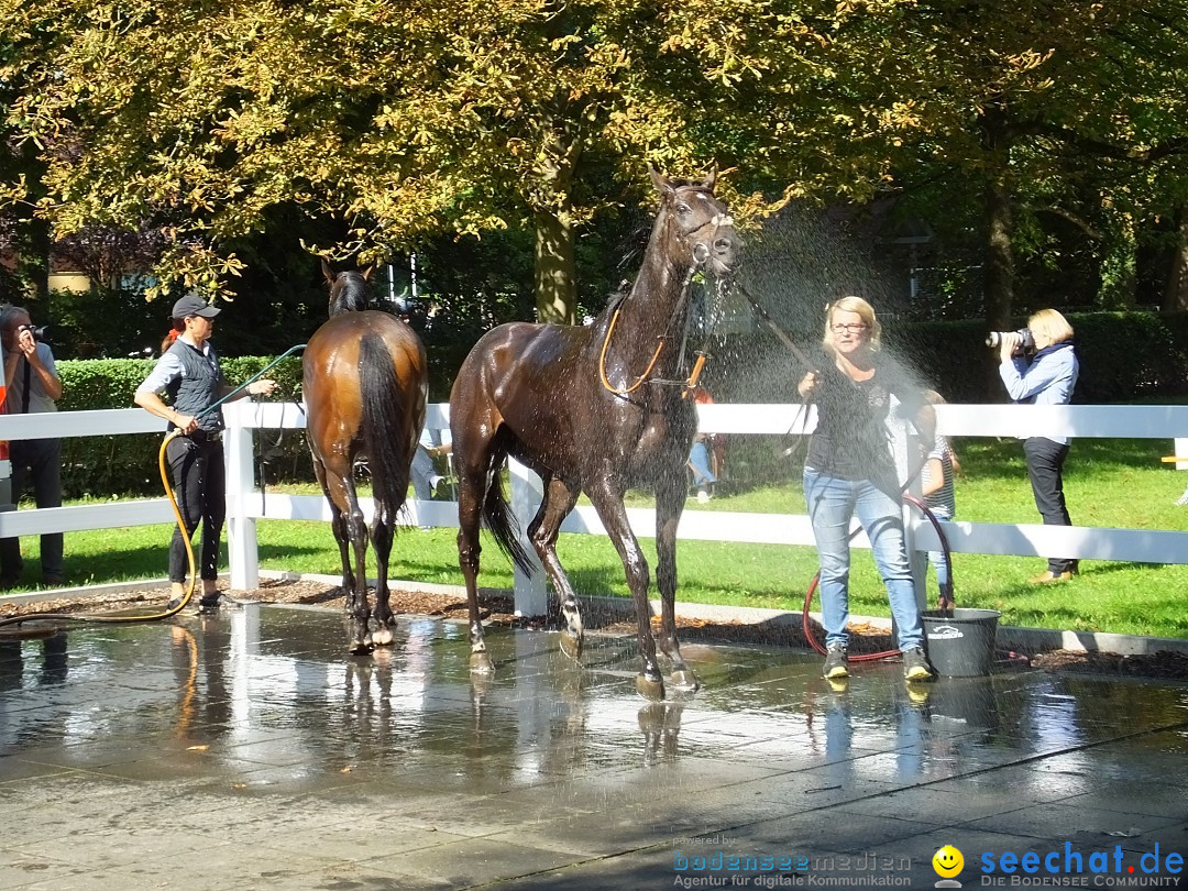 Pferderennen: Baden-Racing - GROSSE WOCHE 2017: Baden-Baden, 03.09.2017