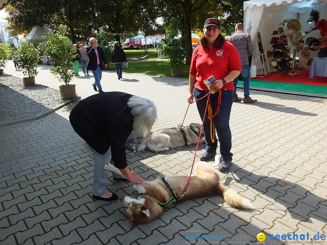 Pferderennen: Baden-Racing - GROSSE WOCHE 2017: Baden-Baden, 03.09.2017