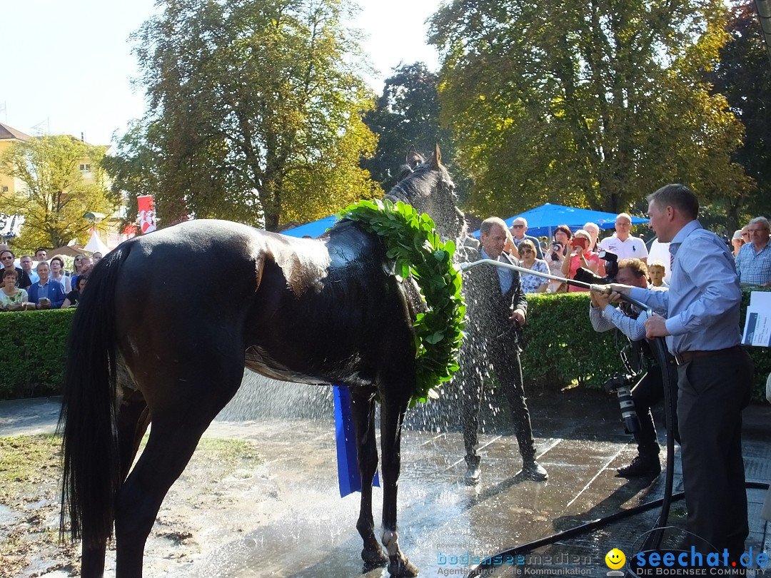 Pferderennen: Baden-Racing - GROSSE WOCHE 2017: Baden-Baden, 03.09.2017