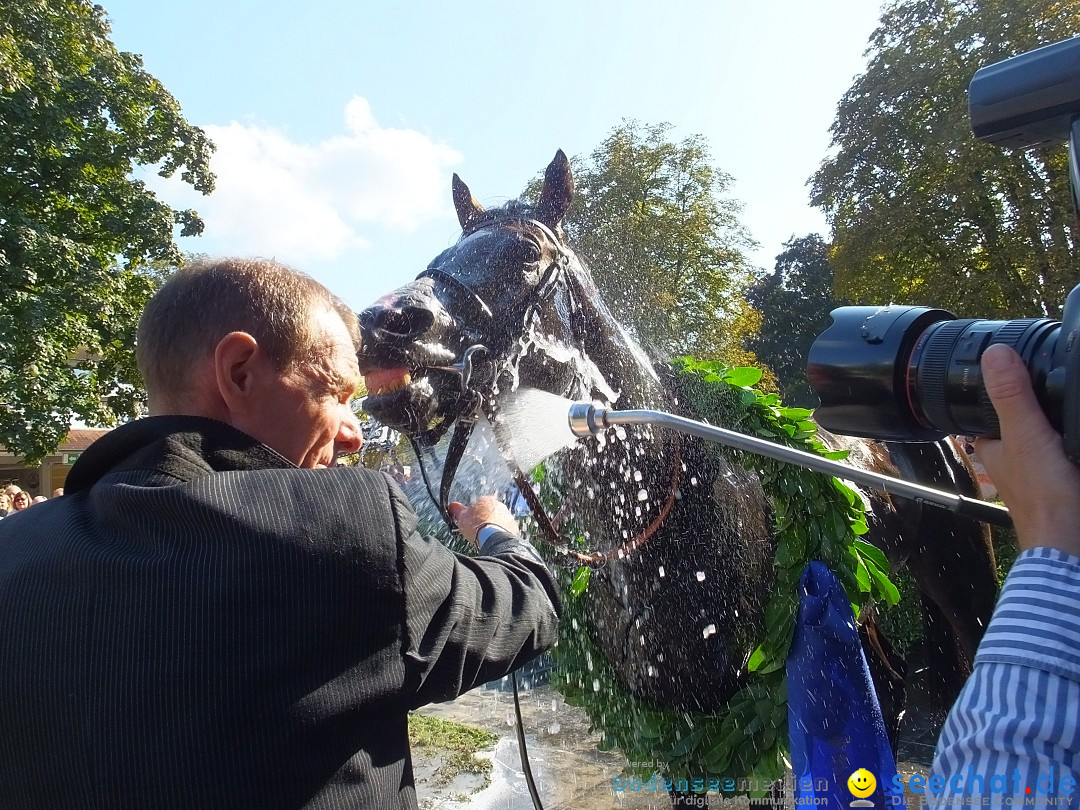 Pferderennen: Baden-Racing - GROSSE WOCHE 2017: Baden-Baden, 03.09.2017