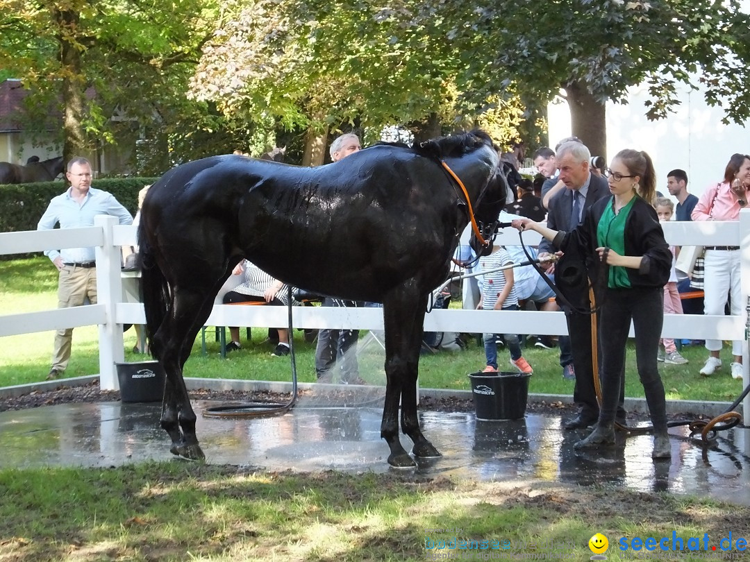 Pferderennen: Baden-Racing - GROSSE WOCHE 2017: Baden-Baden, 03.09.2017