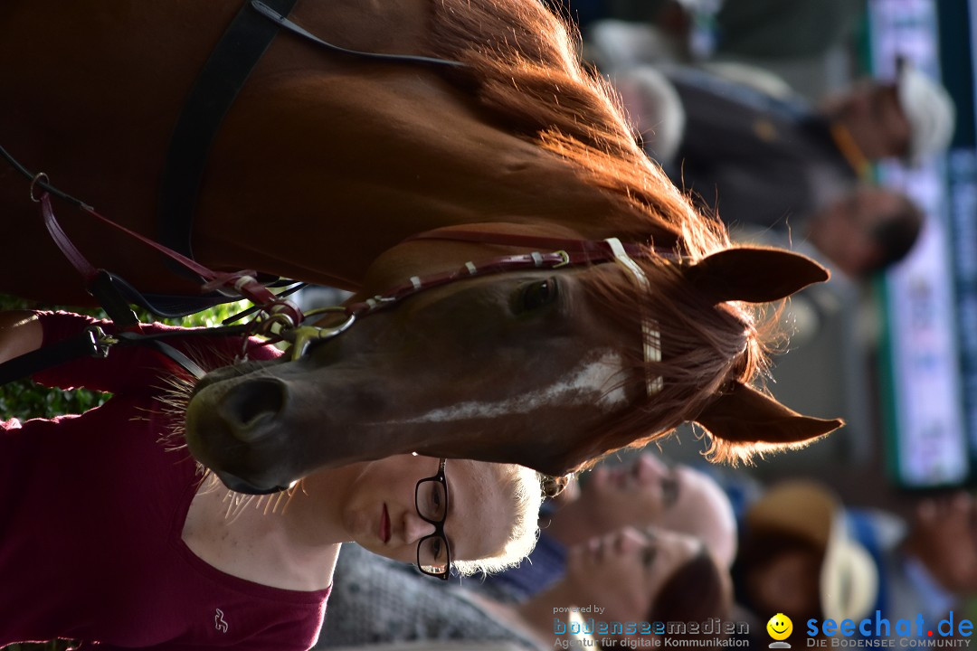 Pferderennen: Baden-Racing - GROSSE WOCHE 2017: Baden-Baden, 03.09.2017