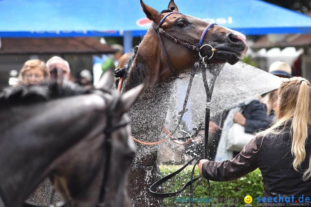 Pferderennen: Baden-Racing - GROSSE WOCHE 2017: Baden-Baden, 03.09.2017