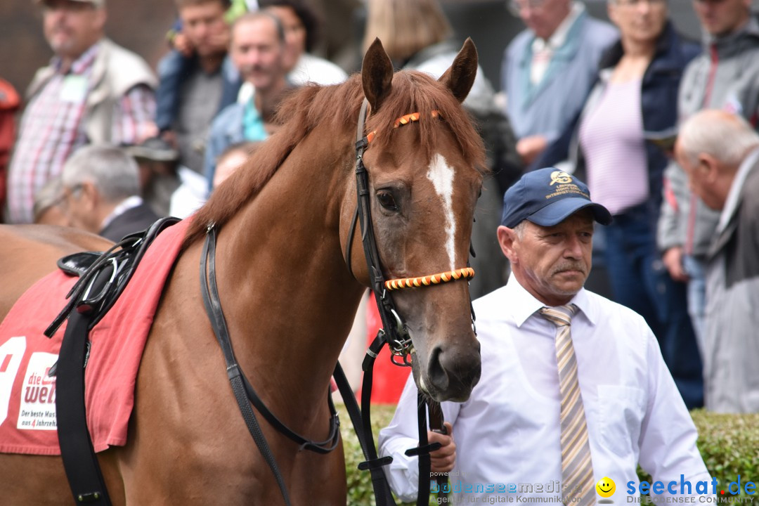 Pferderennen: Baden-Racing - GROSSE WOCHE 2017: Baden-Baden, 03.09.2017