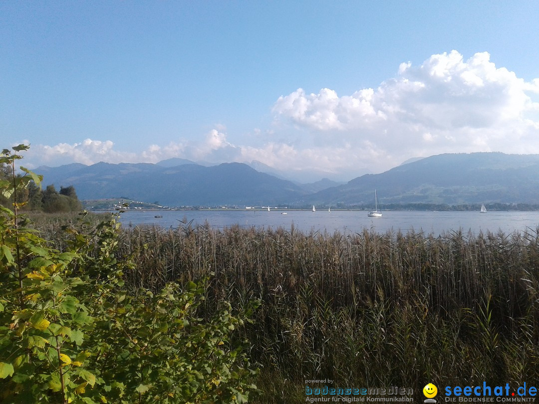 Slowup-Zuerichsee-20170924-Bodensee-Community-SEECHAT_DE20170924_163624