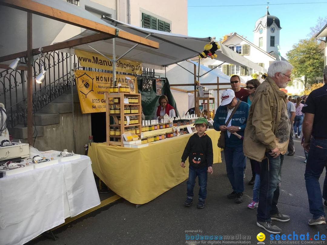 grueningermarkt-grueningen-2017-10-15-bodensee-community-seechat_ch-_12_