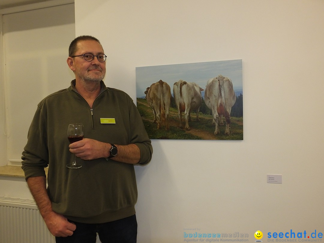 Staedtische-Galerie-Faehre-Vernissage-Bad-Saulgau-9122017-Bodensee-Communit