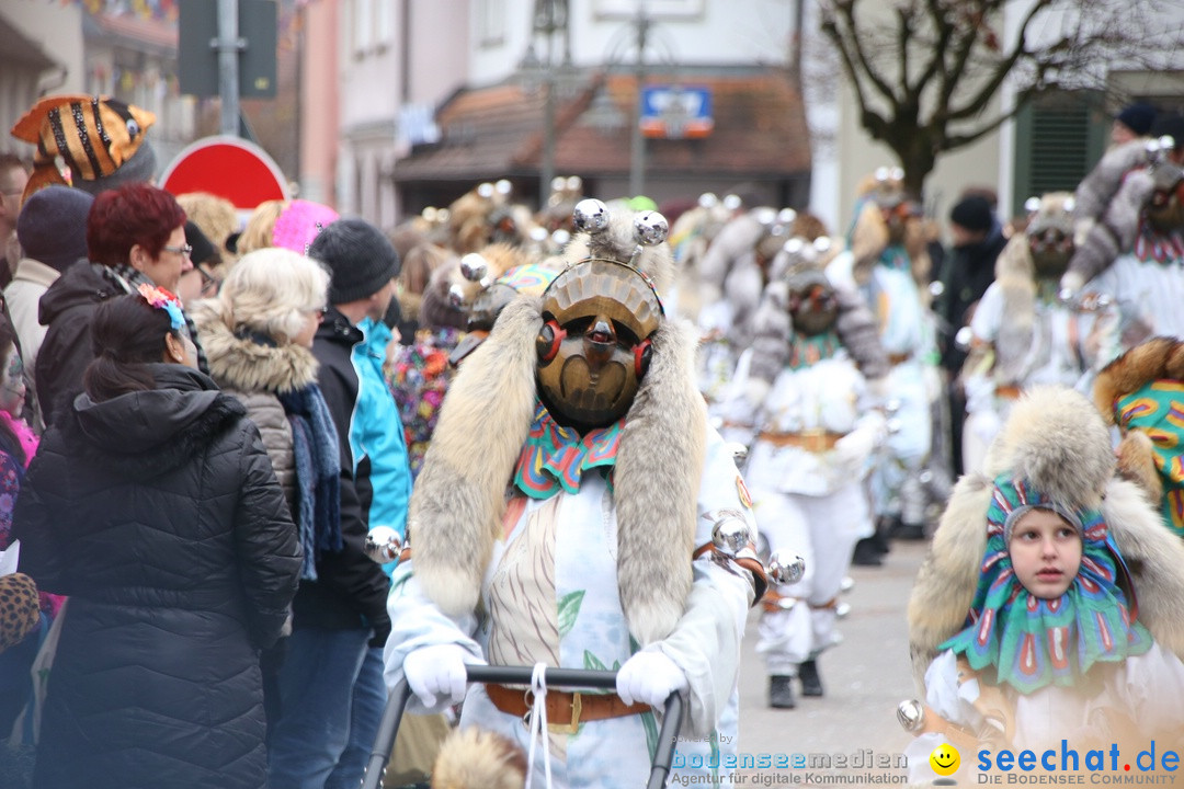 Narrensprung-Langenargen-140118-seechat_de-IMG_2226