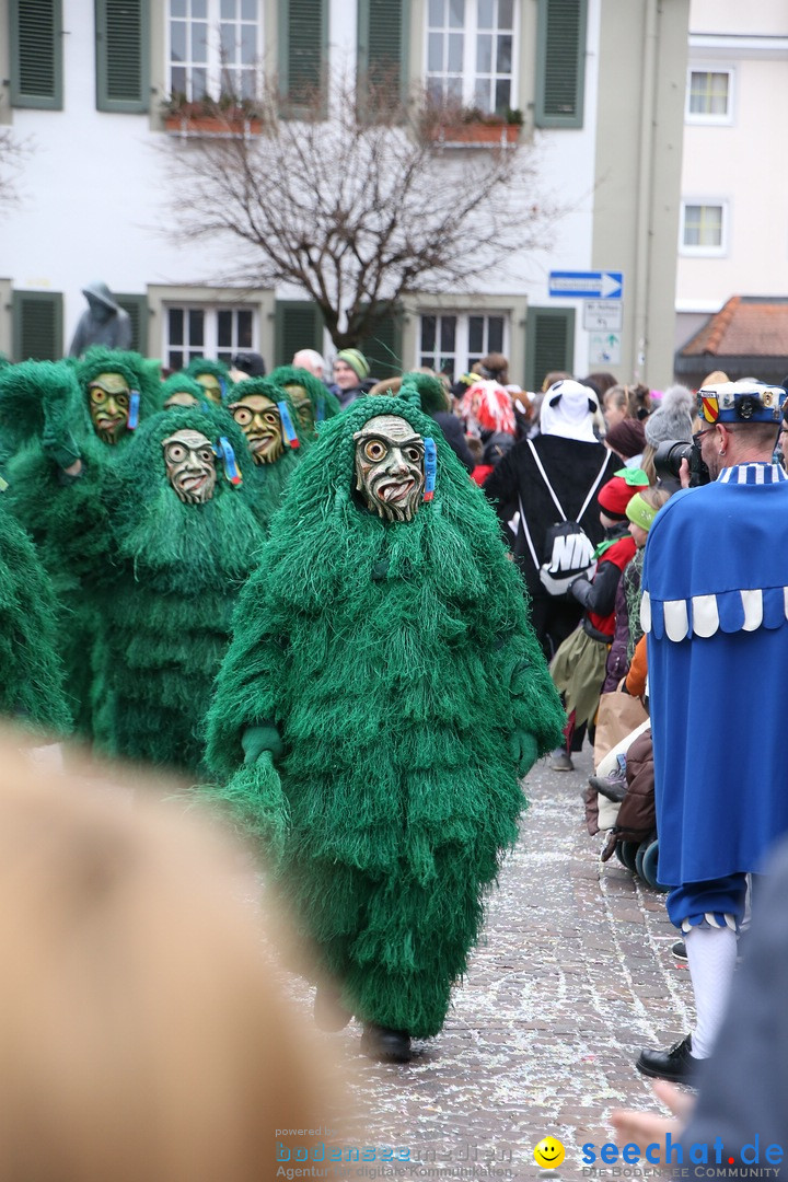 Narrensprung-Langenargen-140118-seechat_de-IMG_2234