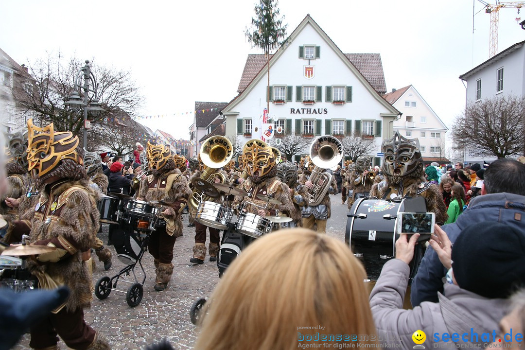 Narrensprung-Langenargen-140118-seechat_de-IMG_2259