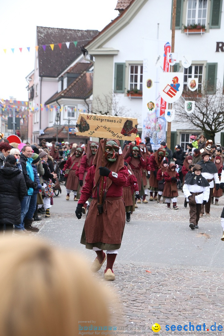 Narrensprung-Langenargen-140118-seechat_de-IMG_2260