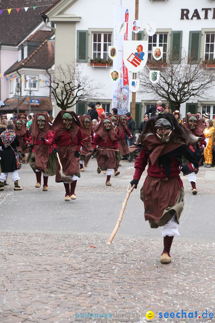 Narrensprung-Langenargen-140118-seechat_de-IMG_2269