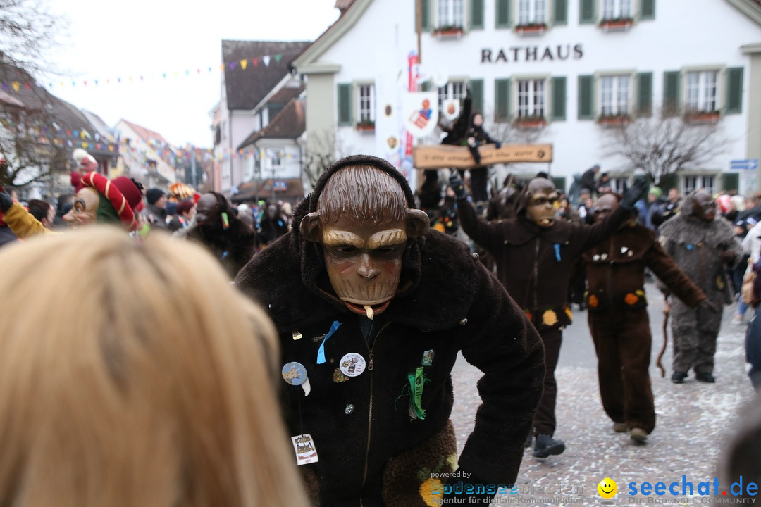 Narrensprung-Langenargen-140118-seechat_de-IMG_2274