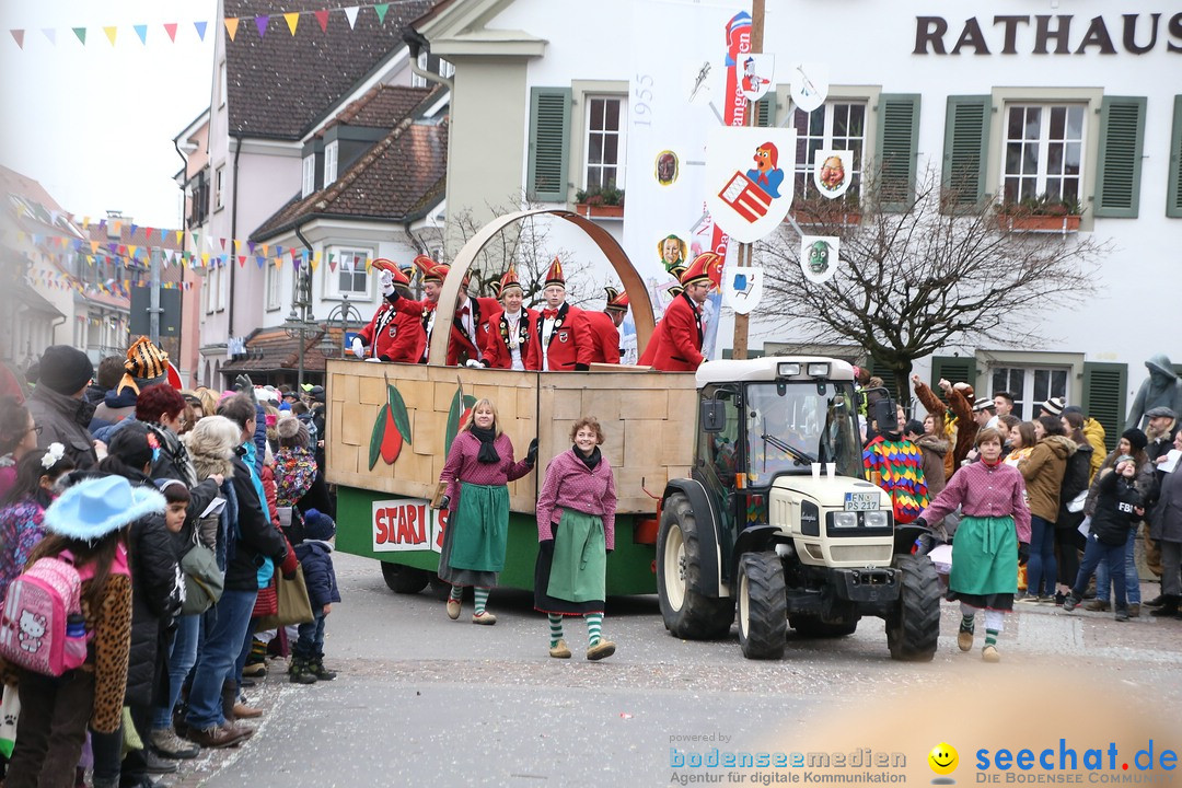 Narrensprung-Langenargen-140118-seechat_de-IMG_2285