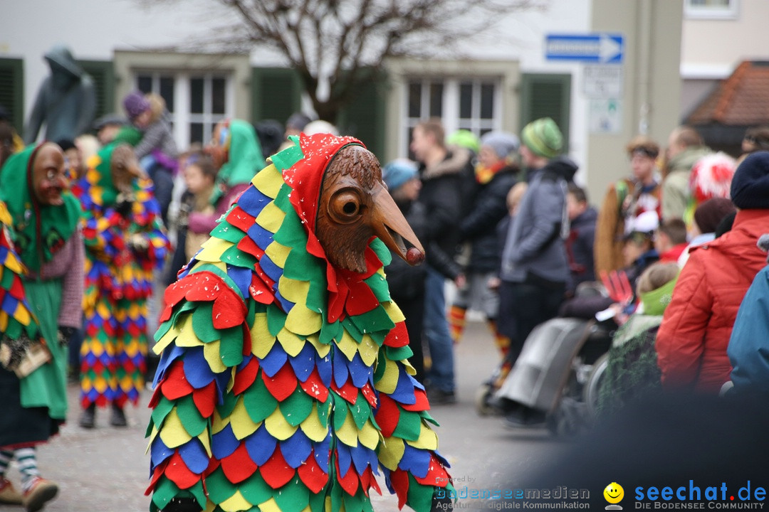 Narrensprung-Langenargen-140118-seechat_de-IMG_2293