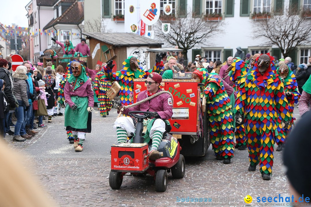 Narrensprung-Langenargen-140118-seechat_de-IMG_2295