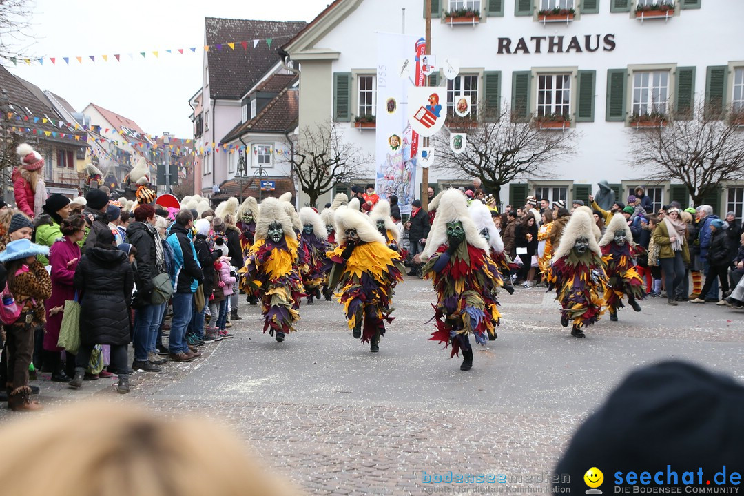 Narrensprung-Langenargen-140118-seechat_de-IMG_2301