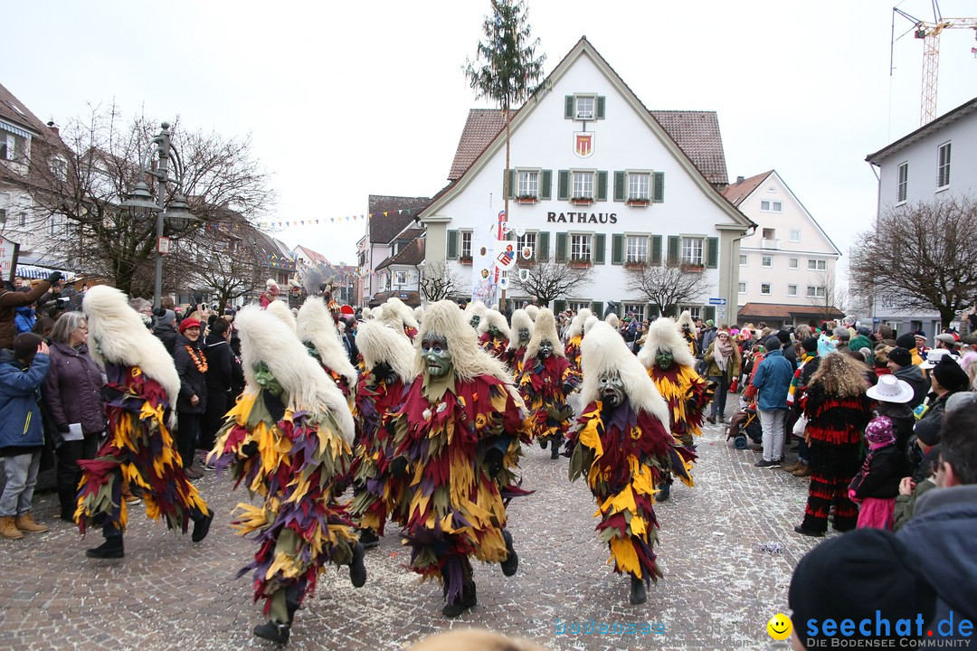 Narrensprung-Langenargen-140118-seechat_de-IMG_2303