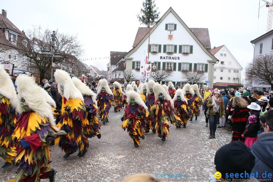 Narrensprung-Langenargen-140118-seechat_de-IMG_2304