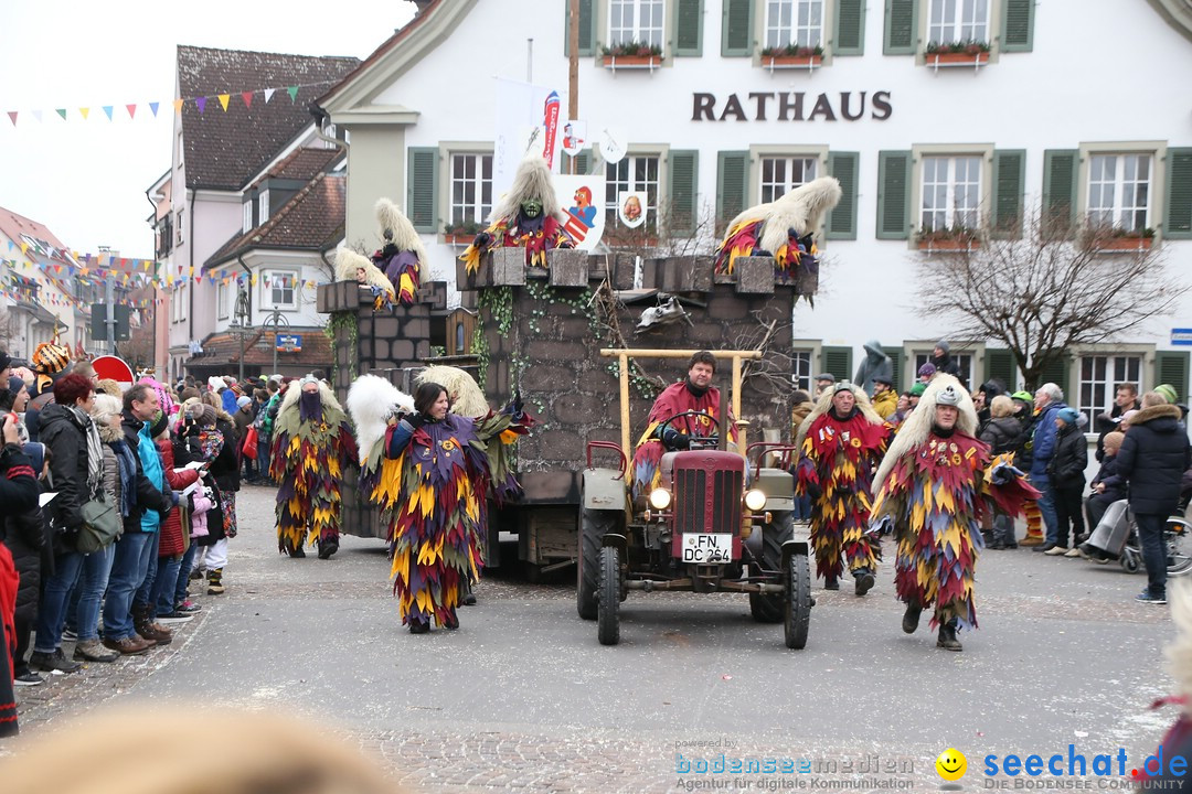 Narrensprung-Langenargen-140118-seechat_de-IMG_2306