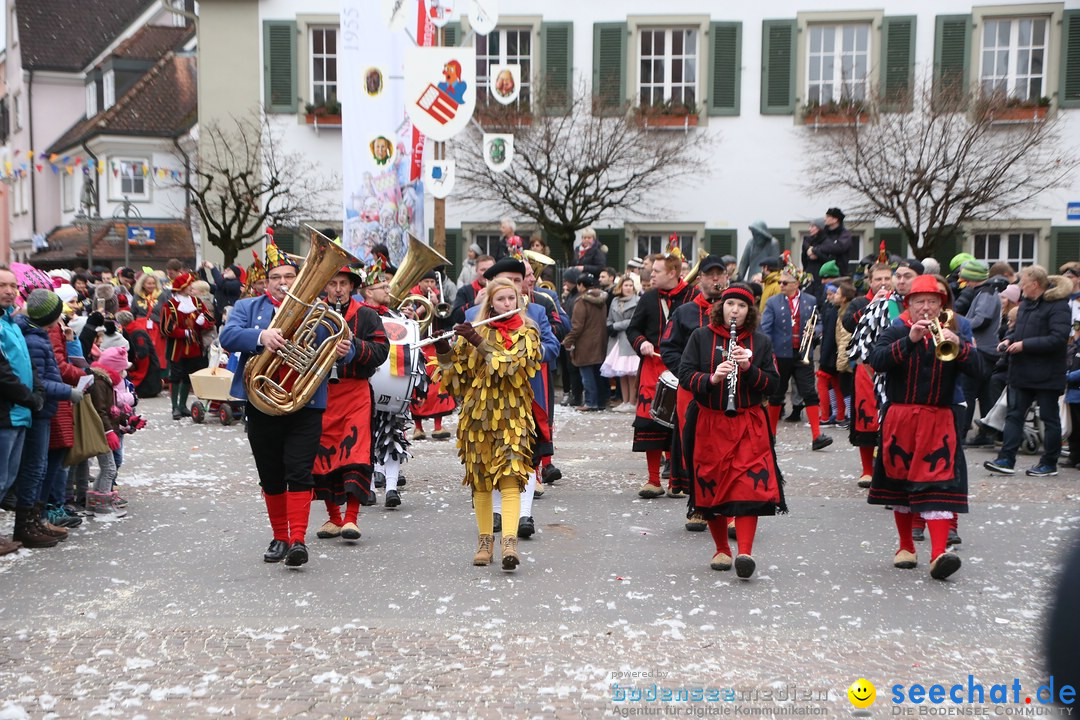 Narrensprung-Langenargen-140118-seechat_de-IMG_2334