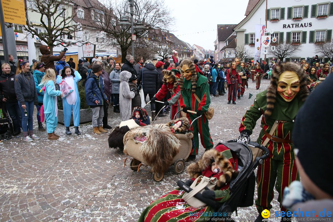 Narrensprung-Langenargen-140118-seechat_de-IMG_2359