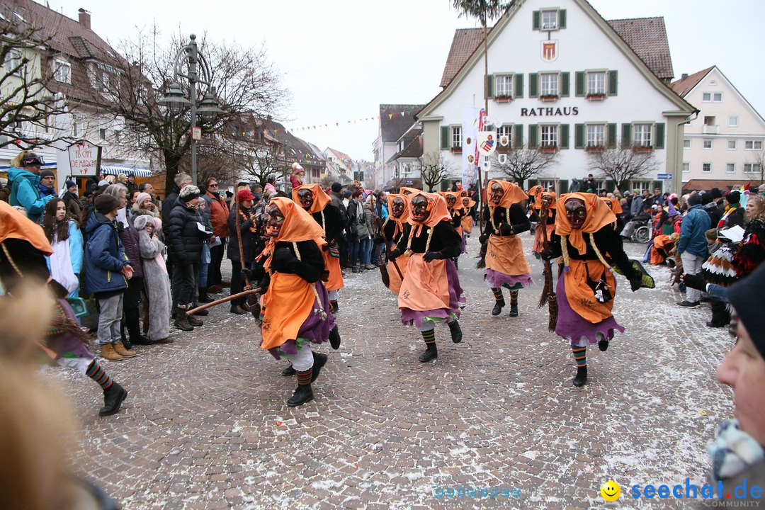 Narrensprung-Langenargen-140118-seechat_de-IMG_2374