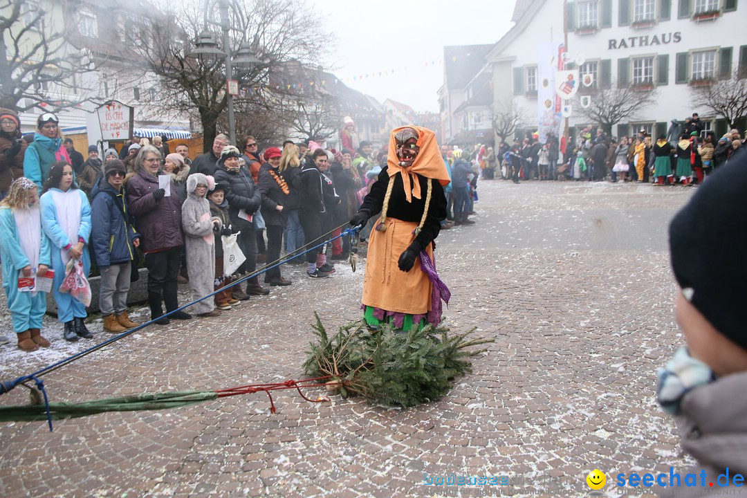 Narrensprung-Langenargen-140118-seechat_de-IMG_2378