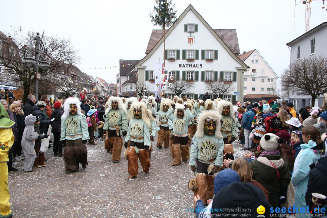 Narrensprung-Langenargen-140118-seechat_de-IMG_2389