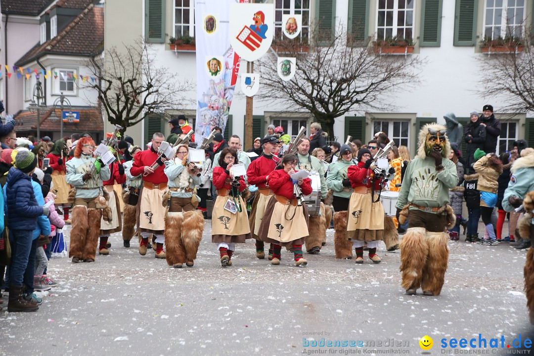 Narrensprung-Langenargen-140118-seechat_de-IMG_2391