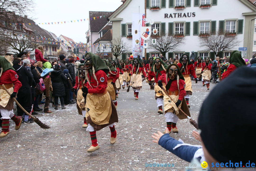 Narrensprung-Langenargen-140118-seechat_de-IMG_2395